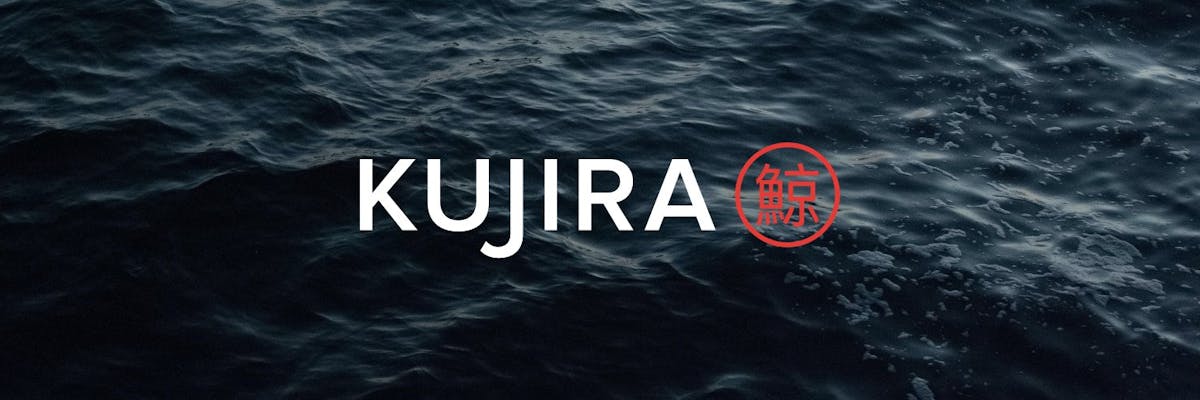 Grown-Up DeFi: Kujira Innovations
