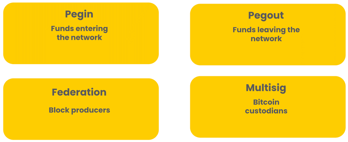 The Botanix Federation makes use of four interconnected components: multi-signature wallets, federation block producers, and the peg-in and out peg-out elements of the two-way bridge. (Image Credit: Botanix Basic Information via Botanix documentation)